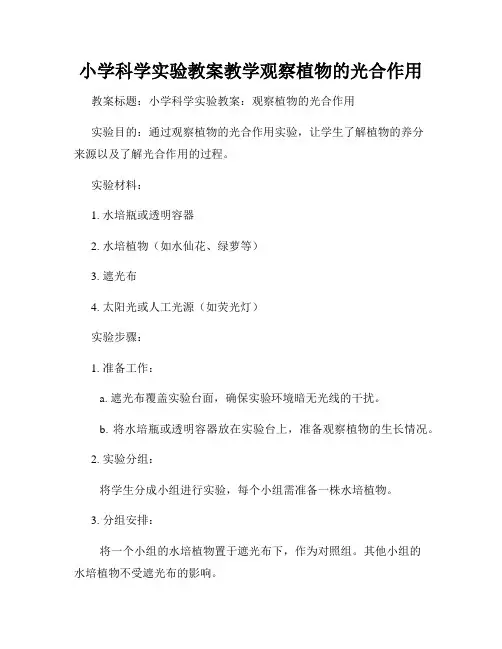 小学科学实验教案教学观察植物的光合作用