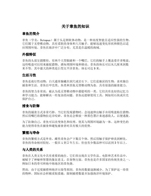 关于章鱼的知识