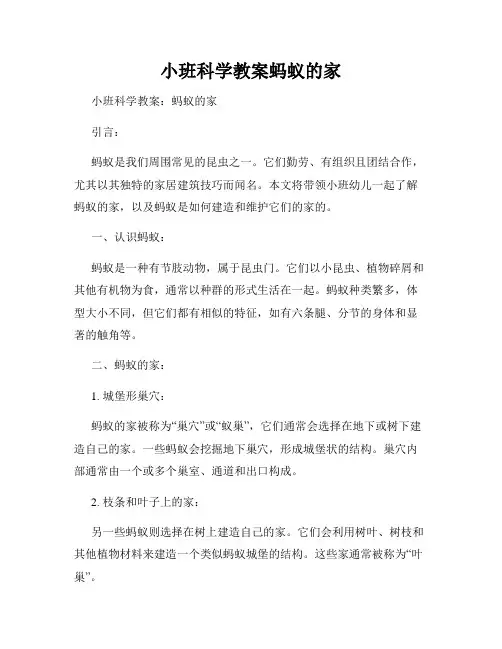 小班科学教案蚂蚁的家