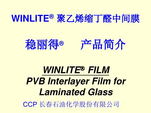 PVB Film聚乙烯醇缩丁醛膜