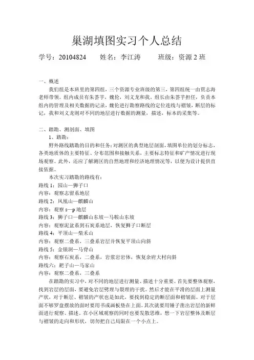 巢湖填图实习个人总结