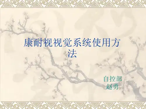 康耐视相机标定及设置