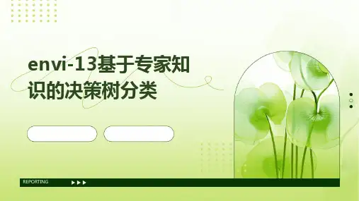 ENVI-13基于专家知识的决策树分类