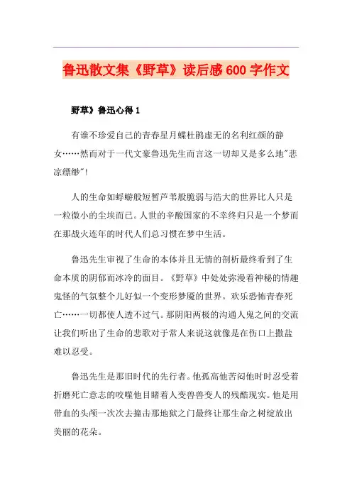 鲁迅散文集《野草》读后感600字作文