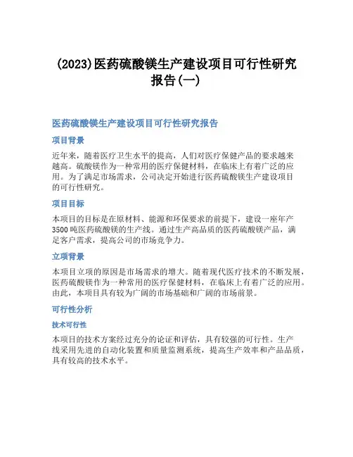 (2023)医药硫酸镁生产建设项目可行性研究报告(一)