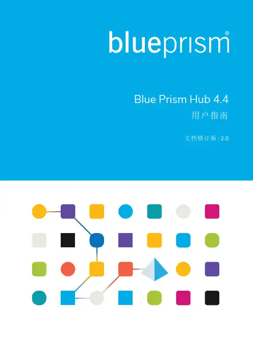 Blue Prism Hub 4.4 用户指南说明书