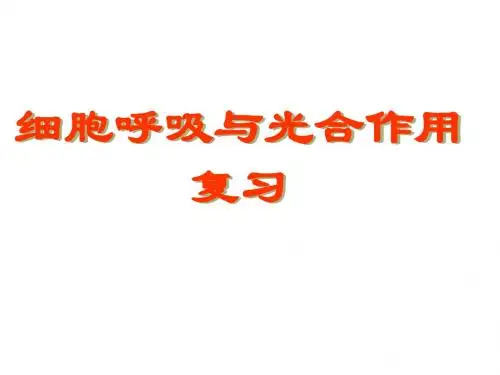 人教版教学课件生物必修1第五章细胞呼吸和光合作用复习课件