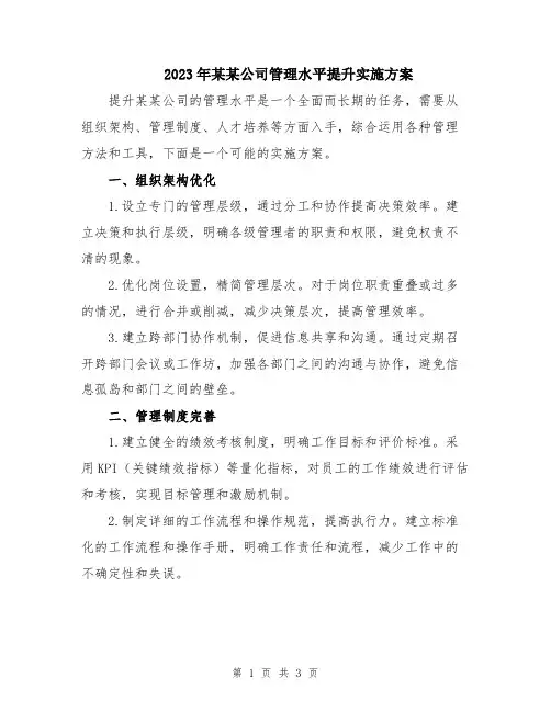 2023年某某公司管理水平提升实施方案
