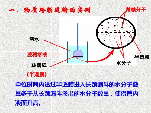 医学课件第7讲细胞的物质输入和输出