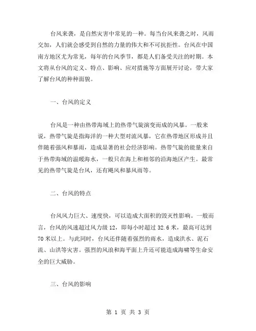 台风来袭作文范文