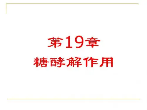 第19章糖酵解作用