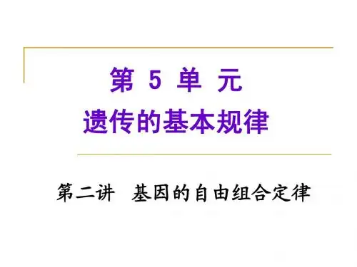 二1第二讲基因的自由组合定律