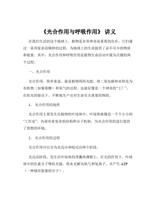 《光合作用与呼吸作用》 讲义