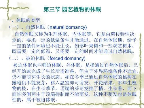 第二章节 园艺植物的生长发育3