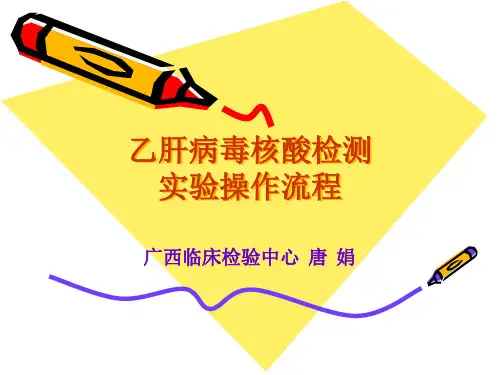 乙肝病毒核酸检测实验操作流程.