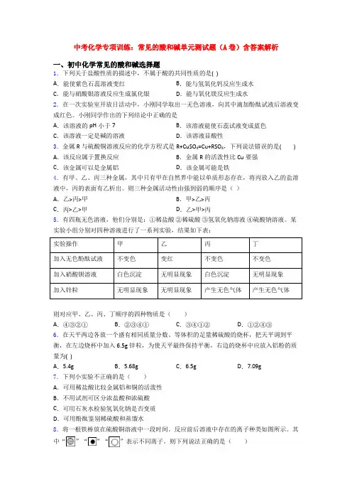 中考化学专项训练：常见的酸和碱单元测试题(A卷)含答案解析