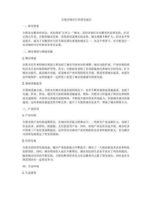 合肥详细可行性研究报告