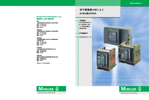 空气断路器IZM样本