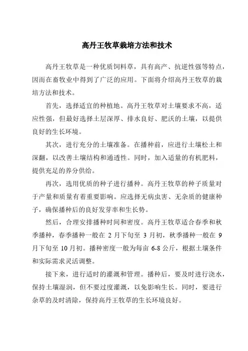 高丹王牧草栽培方法和技术