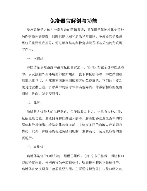 免疫器官解剖与功能