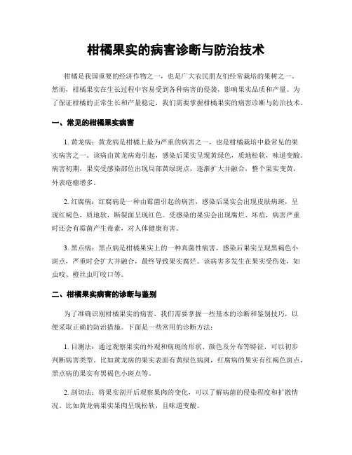 柑橘果实的病害诊断与防治技术