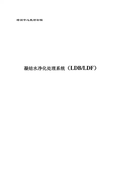 电厂汽机凝结水净化处理系统培训教材(精品文档)