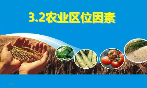高中地理必修二第三章第二节 农业区位因素(23张ppt)