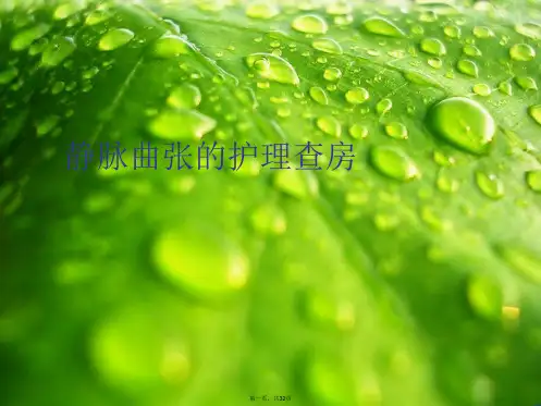 静脉曲张的护理查房