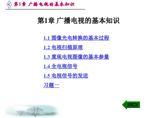 电视原理PPT1