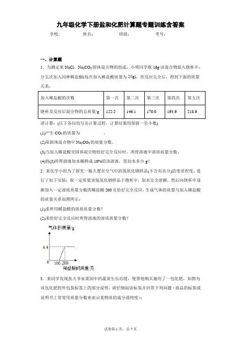 九年级化学下册盐和化肥计算题专题训练含答案