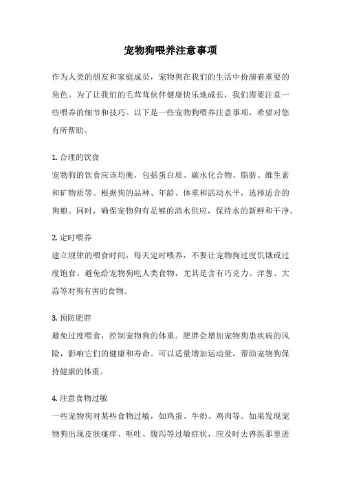 宠物狗喂养注意事项