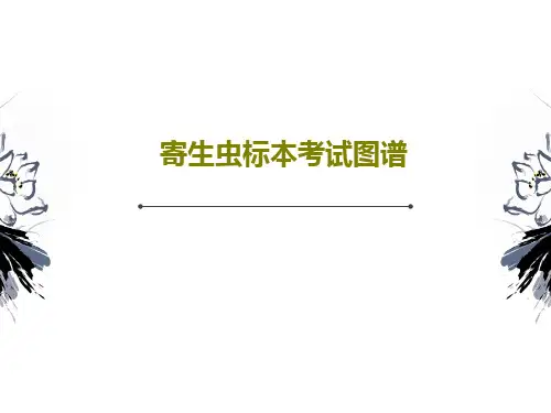 寄生虫标本考试图谱共79页文档