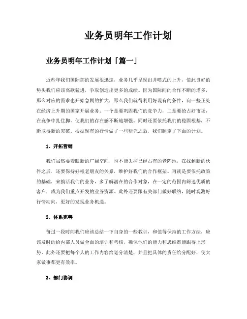业务员明年工作计划