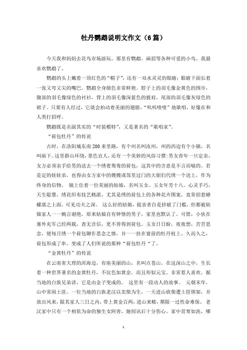 牡丹鹦鹉说明文作文(6篇)