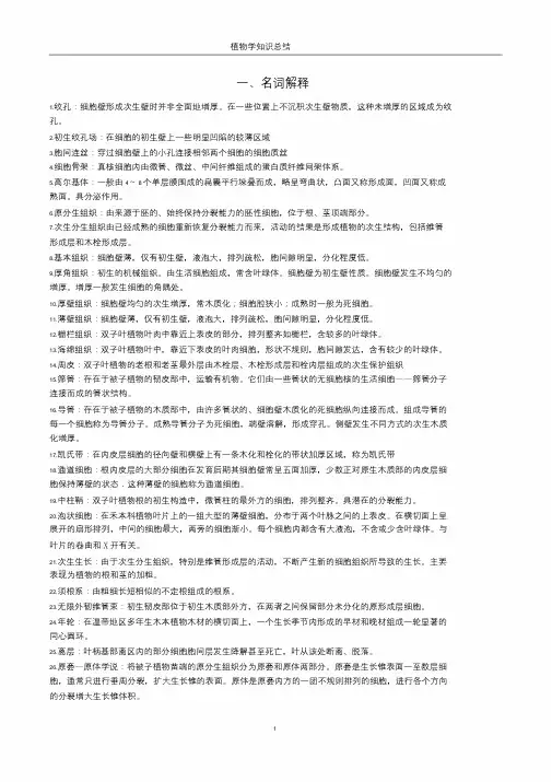 植物学知识总结