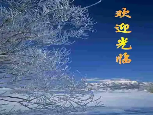《初级阶段基本国情》PPT课件