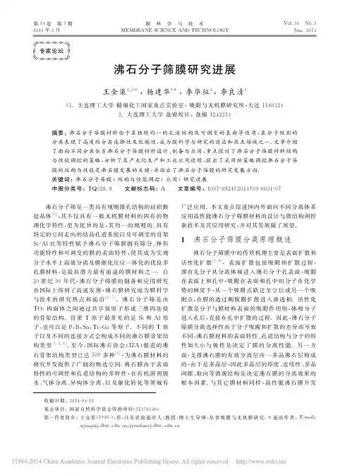 沸石分子筛膜研究进展_王金渠