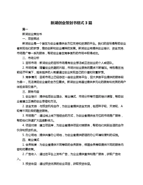 新湖创业策划书格式3篇