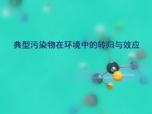 典型污染物在环境中的转归2010