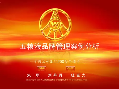 五粮液品牌管理案例分析