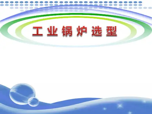 工业锅炉选型