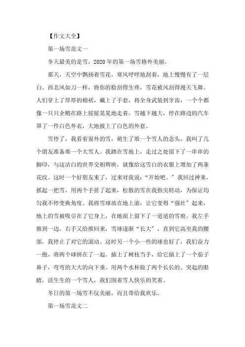 精选2020年的第一场雪的作文五篇