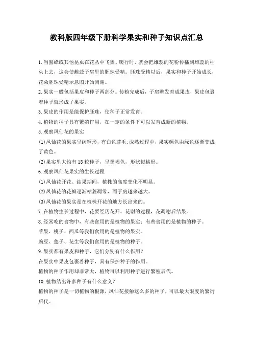 教科版四年级下册科学果实和种子知识点汇总