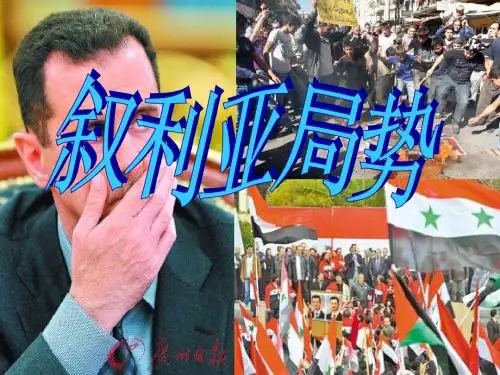 叙利亚局势