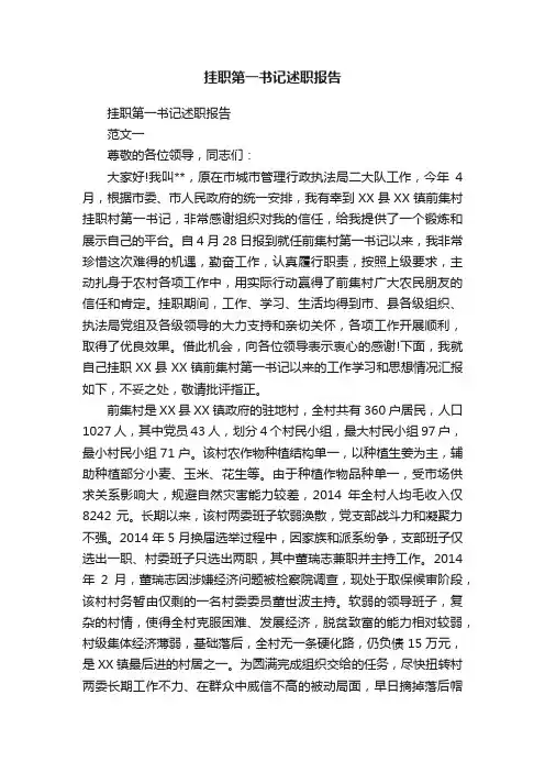 挂职第一书记述职报告