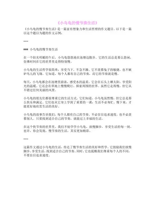 《小乌龟的慢节奏生活》