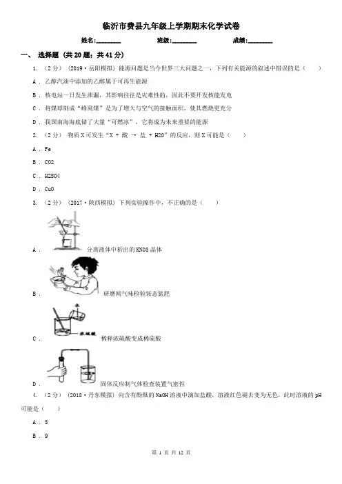 临沂市费县九年级上学期期末化学试卷