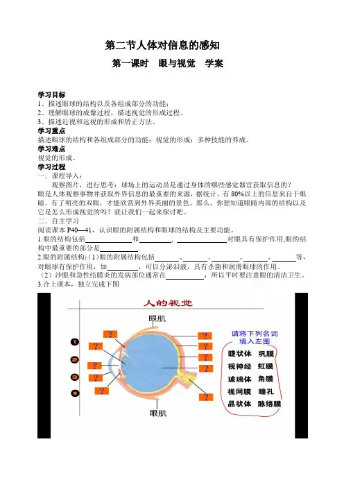 苏科版生物八年级上册 6.16.2 人体对信息的感知(眼与视觉 ) 学案