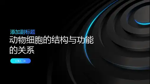 动物细胞的结构与功能的关系