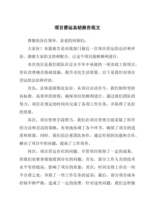 项目营运总结报告范文